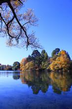 ��С���ļ�