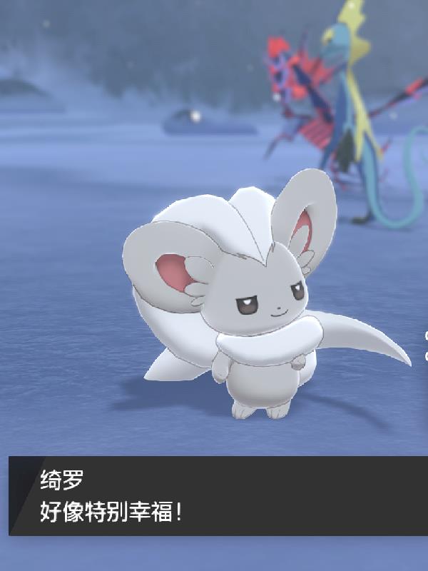 ���鱦����֮����ѵ��ʦ