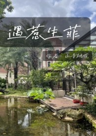 ��������(1V1SC��H)