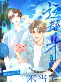 ���������Ӳ�����