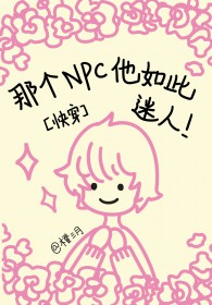 �Ǹ�npc���������