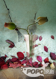 ��ͬ�ˡ��ص��ƿ�������(cp�{��X����)