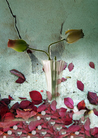 ��� [��Ĺ�ʼ�][ƿа��ALLа]