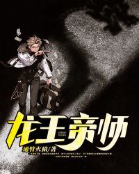 ������ʦ