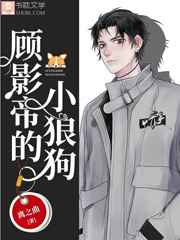 ��Ӱ�۵�С�ǹ� ���+����