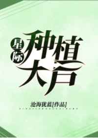 �Ǽ���ֲ�� ���+����