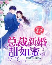 �Գ�ɻ����ܲ��»�������