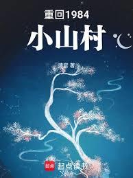 �ػ�1984Сɽ��