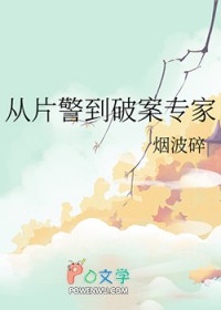 ��Ƭ�����ư�ר��