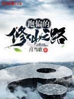 ��ƫ������֮·